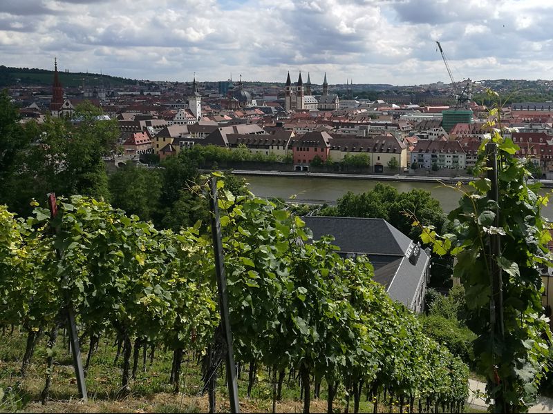 FNF/VSA Stammtisch Würzburg (Weinprobe)