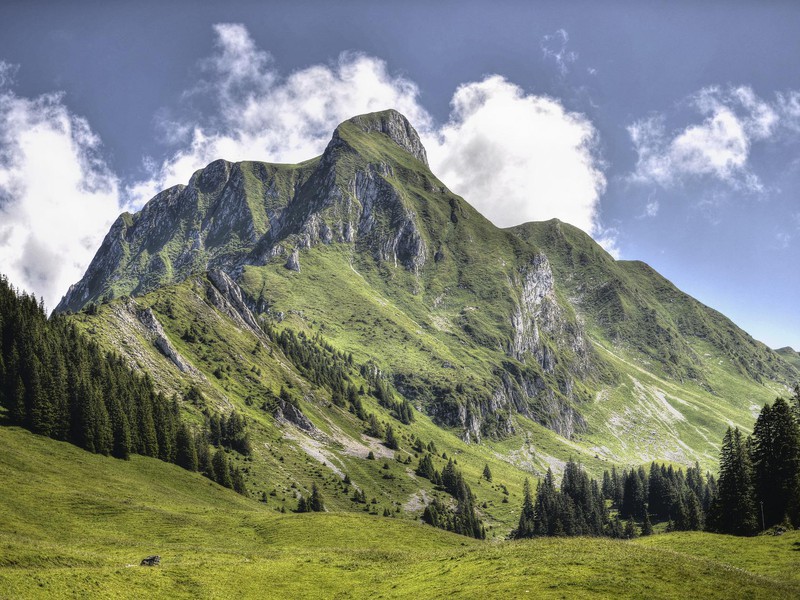 Wanderseminar "Ab an die Spitze - Vernetzung und Karriere in den Bergen"